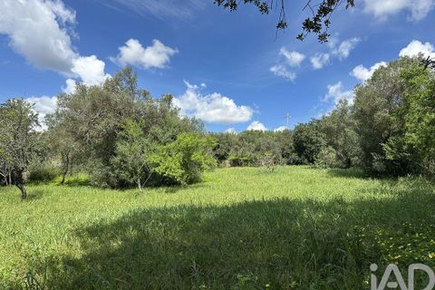 Byhus i Loule, Faro, Loule - € 405.000 | Ref: 880410 - foto 21