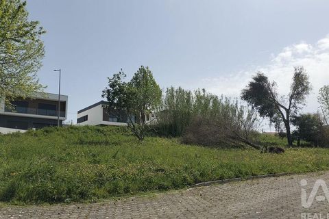 Terra a Leiria, Leiria, Leiria - € 50.000 | Ref: 884113 - foto 4