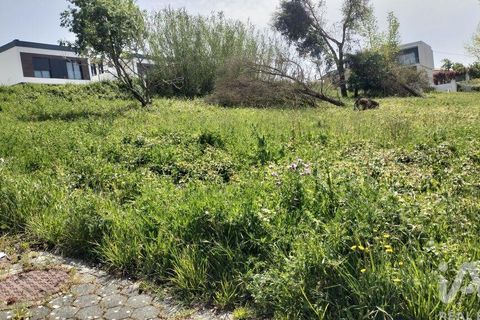 Terra a Leiria, Leiria, Leiria - € 50.000 | Ref: 884113 - foto 5