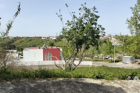 Terra a Leiria, Leiria, Leiria - € 50.000 | Ref: 884113 - foto 7