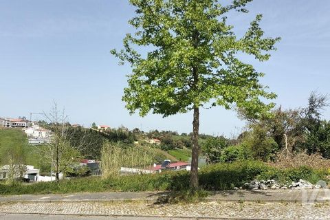 Terra a Leiria, Leiria, Leiria - € 50.000 | Ref: 884113 - foto 22