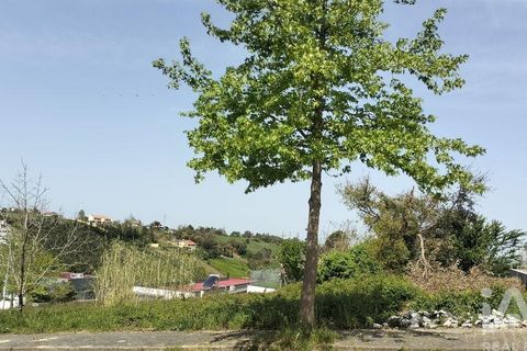 Terra a Leiria, Leiria, Leiria - € 50.000 | Ref: 884113 - foto 24