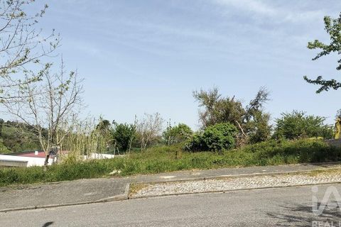 Terra a Leiria, Leiria, Leiria - € 50.000 | Ref: 884113 - foto 25