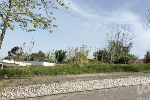Terra a Leiria, Leiria, Leiria - € 50.000 | Ref: 884113 - foto 26