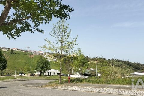 Terra a Leiria, Leiria, Leiria - € 50.000 | Ref: 884113 - foto 29