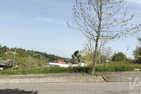 Terra a Leiria, Leiria, Leiria - € 50.000 | Ref: 884113 - foto 30