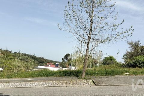 Terra a Leiria, Leiria, Leiria - € 50.000 | Ref: 884113 - foto 31