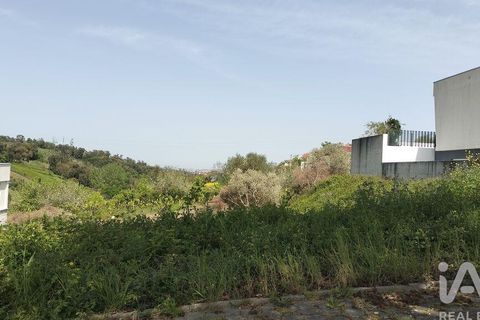 Terra a Leiria, Leiria, Leiria - € 50.000 | Ref: 884113 - foto 34
