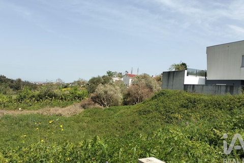 Terra a Leiria, Leiria, Leiria - € 50.000 | Ref: 884113 - foto 38