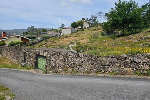Helårsgrund i Ponte da Barca, Viana do Castelo, Ponte da Barca - € 20.000 | Ref: AV6706 - foto 5