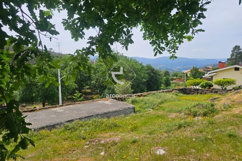 Helårsgrund i Ponte da Barca, Viana do Castelo, Ponte da Barca - € 20.000 | Ref: AV6706 - foto 8