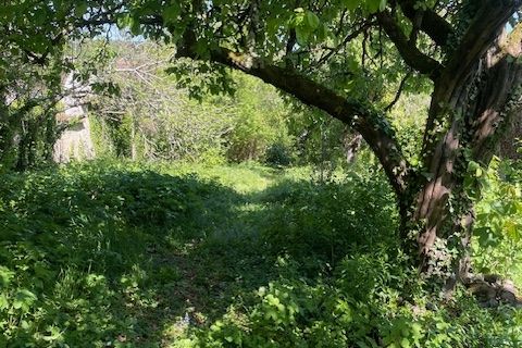 Terra a Thomery, Seine-et-Marne, Thomery - € 148.000 | Ref: 5406 - foto 3