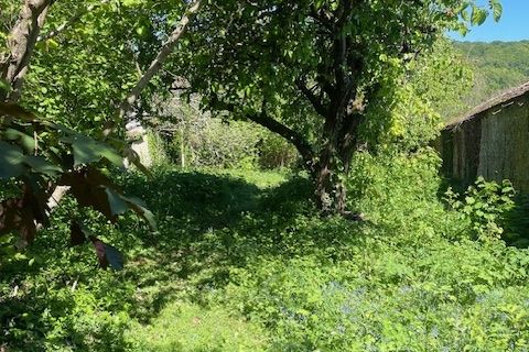Terra a Thomery, Seine-et-Marne, Thomery - € 148.000 | Ref: 5406 - foto 4