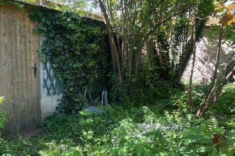 Terra a Thomery, Seine-et-Marne, Thomery - € 148.000 | Ref: 5406 - foto 5