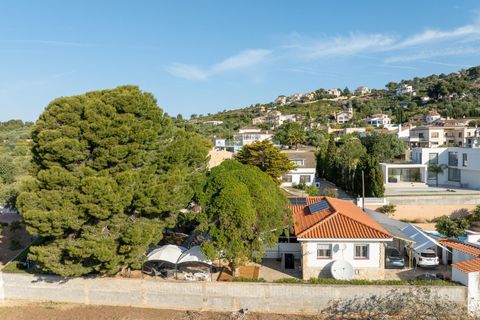 Villa i Vinaros, Castellon, Vinaros - € 355.000 | Ref: C-1532/6911 - foto 38
