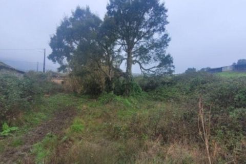 Farm i Odemira, Beja, Odemira - € 149.000 | Ref: 881157 - foto 10
