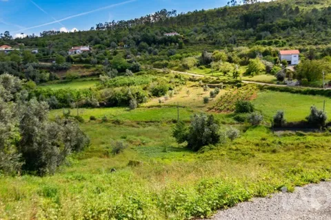 Byhus i Condeixa-a-Nova, Coimbra, Condeixa-a-Nova - € 42.500 | Ref: 883244 - foto 15