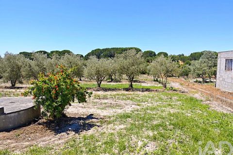 Byhus i Coruche, Santarem, Coruche - € 355.000 | Ref: 882394 - foto 31
