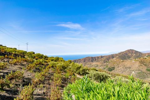 Landejendom i Torrox, Malaga, Torrox - € 289.000 | Ref: A4U2616 - foto 8
