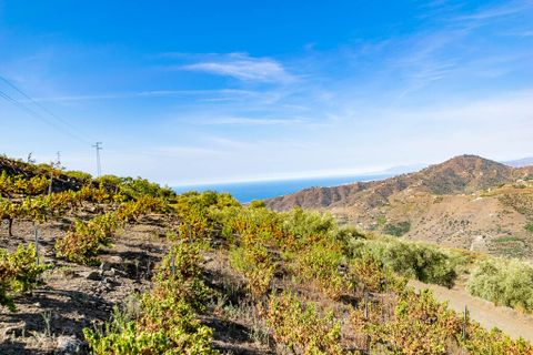 Landejendom i Torrox, Malaga, Torrox - € 289.000 | Ref: A4U2616 - foto 18