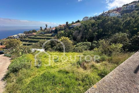 Terra a Gaula, Madeira, Gaula - € 70.000 | Ref: DR708 - foto 2