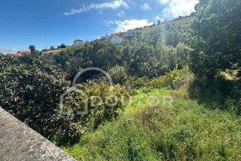 Terra a Gaula, Madeira, Gaula - € 70.000 | Ref: DR708 - foto 3
