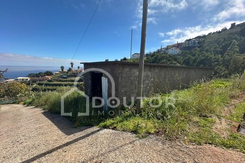 Terra a Gaula, Madeira, Gaula - € 70.000 | Ref: DR708 - foto 4