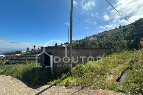 Terra a Gaula, Madeira, Gaula - € 70.000 | Ref: DR708 - foto 6