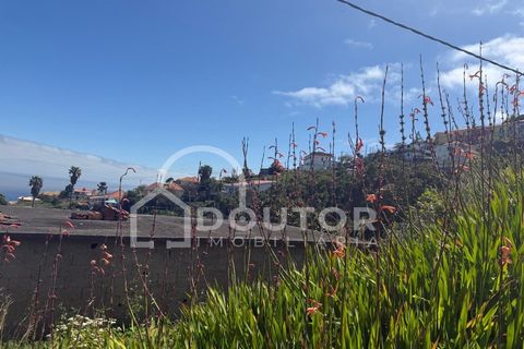 Terra a Gaula, Madeira, Gaula - € 70.000 | Ref: DR708 - foto 7