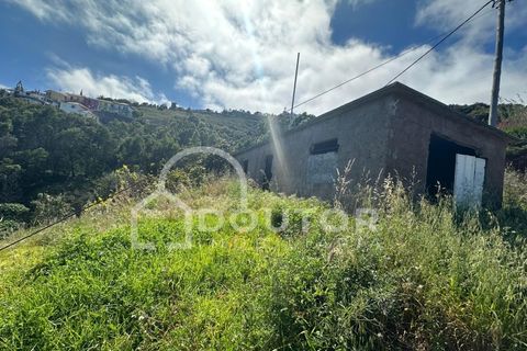 Terra a Gaula, Madeira, Gaula - € 70.000 | Ref: DR708 - foto 8