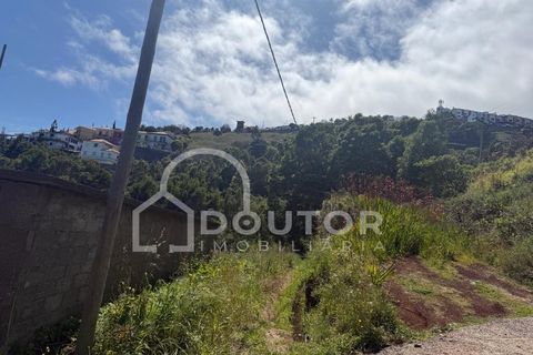 Terra a Gaula, Madeira, Gaula - € 70.000 | Ref: DR708 - foto 9