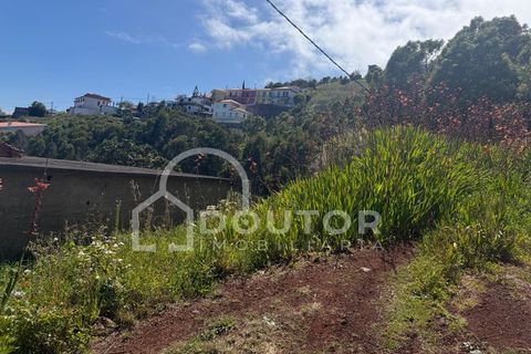 Terra a Gaula, Madeira, Gaula - € 70.000 | Ref: DR708 - foto 11