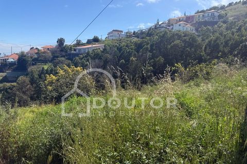 Terra a Gaula, Madeira, Gaula - € 70.000 | Ref: DR708 - foto 12
