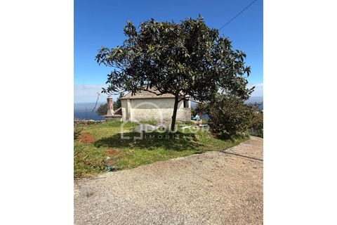 Terra a Gaula, Madeira, Gaula - € 70.000 | Ref: DR708 - foto 13