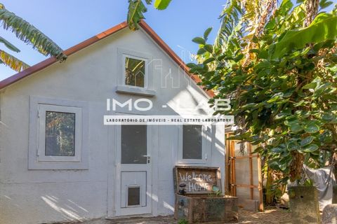Villa a Santana, Madeira, Santana - € 220.000 | Ref: CAS_329 - foto 10
