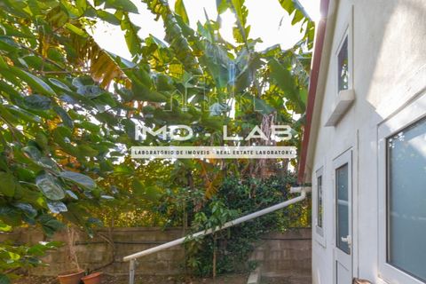 Villa a Santana, Madeira, Santana - € 220.000 | Ref: CAS_329 - foto 11