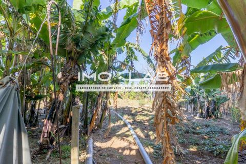 Villa a Santana, Madeira, Santana - € 220.000 | Ref: CAS_329 - foto 13