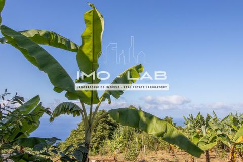 Villa a Santana, Madeira, Santana - € 220.000 | Ref: CAS_329 - foto 14