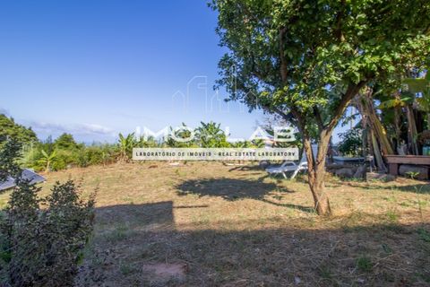 Villa a Santana, Madeira, Santana - € 220.000 | Ref: CAS_329 - foto 21