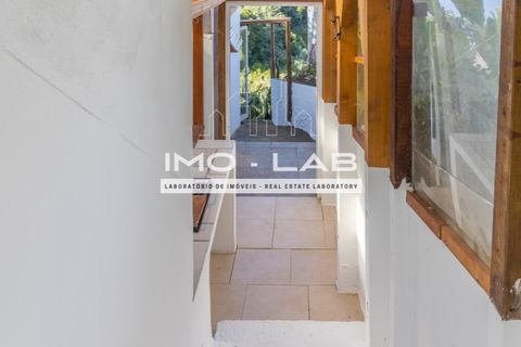 Villa a Santana, Madeira, Santana - € 220.000 | Ref: CAS_329 - foto 27
