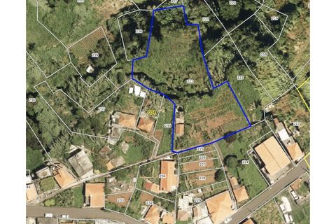 Villa a Santana, Madeira, Santana - € 220.000 | Ref: CAS_329 - foto 40