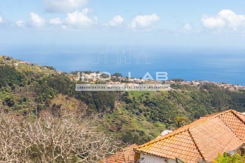 Villa a Camacha, Madeira, Camacha - € 240.000 | Ref: CAS_361 - foto 17