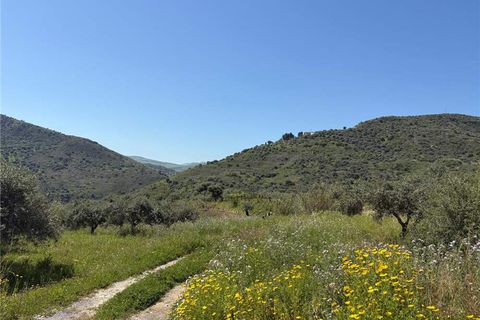 Terra a Casteldaccia, Palermo, Casteldaccia - € 15.000 | Ref: CA510 - foto 3