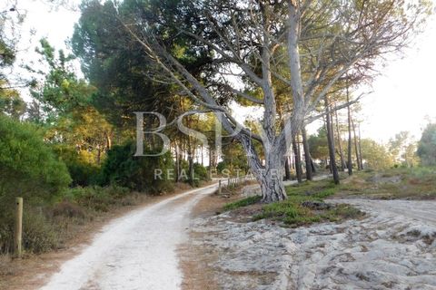 Rækkehus i Vau, Leiria, Vau - € 900.000 | Ref: BSPM_507 - foto 30