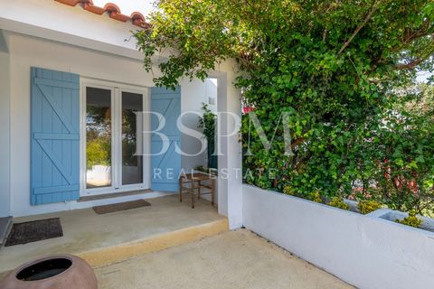 Landejendom i Vau, Leiria, Vau - € 1.250.000 | Ref: BSPM_503 - foto 48