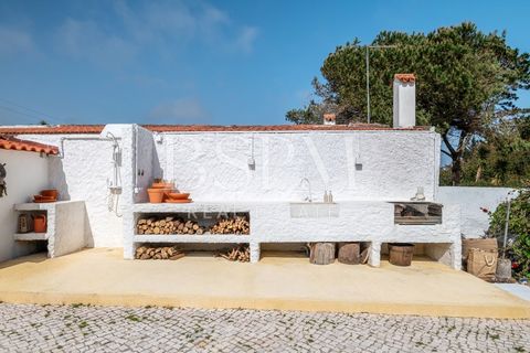 Landejendom i Vau, Leiria, Vau - € 1.250.000 | Ref: BSPM_503 - foto 50