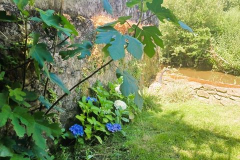 Landsbyhus i Sevremoine, Maine-et-Loire, Sevremoine - € 228.360 | Ref: 230_MMR-0026099 - foto 13