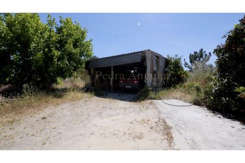 Helårsgrund i Setubal, Setubal, Setubal - € 410.000 | Ref: SÒL_2602 - foto 5