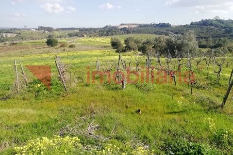 Helårsgrund i Alenquer, Lisbon, Alenquer - € 30.000 | Ref: 214002002 - foto 2