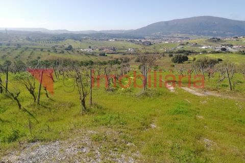 Helårsgrund i Alenquer, Lisbon, Alenquer - € 30.000 | Ref: 214002002 - foto 4